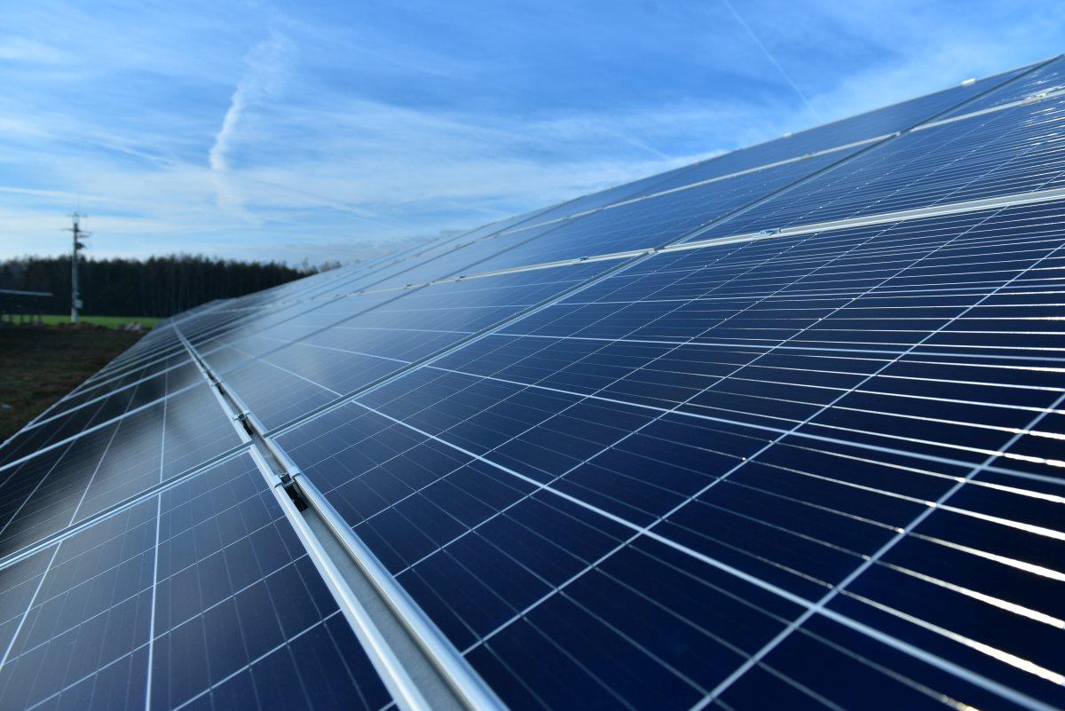 Kadry i badania dla energetyki słonecznej – Solartech nawiązuje współpracę z SGGW